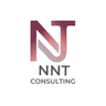 NNT Consulting