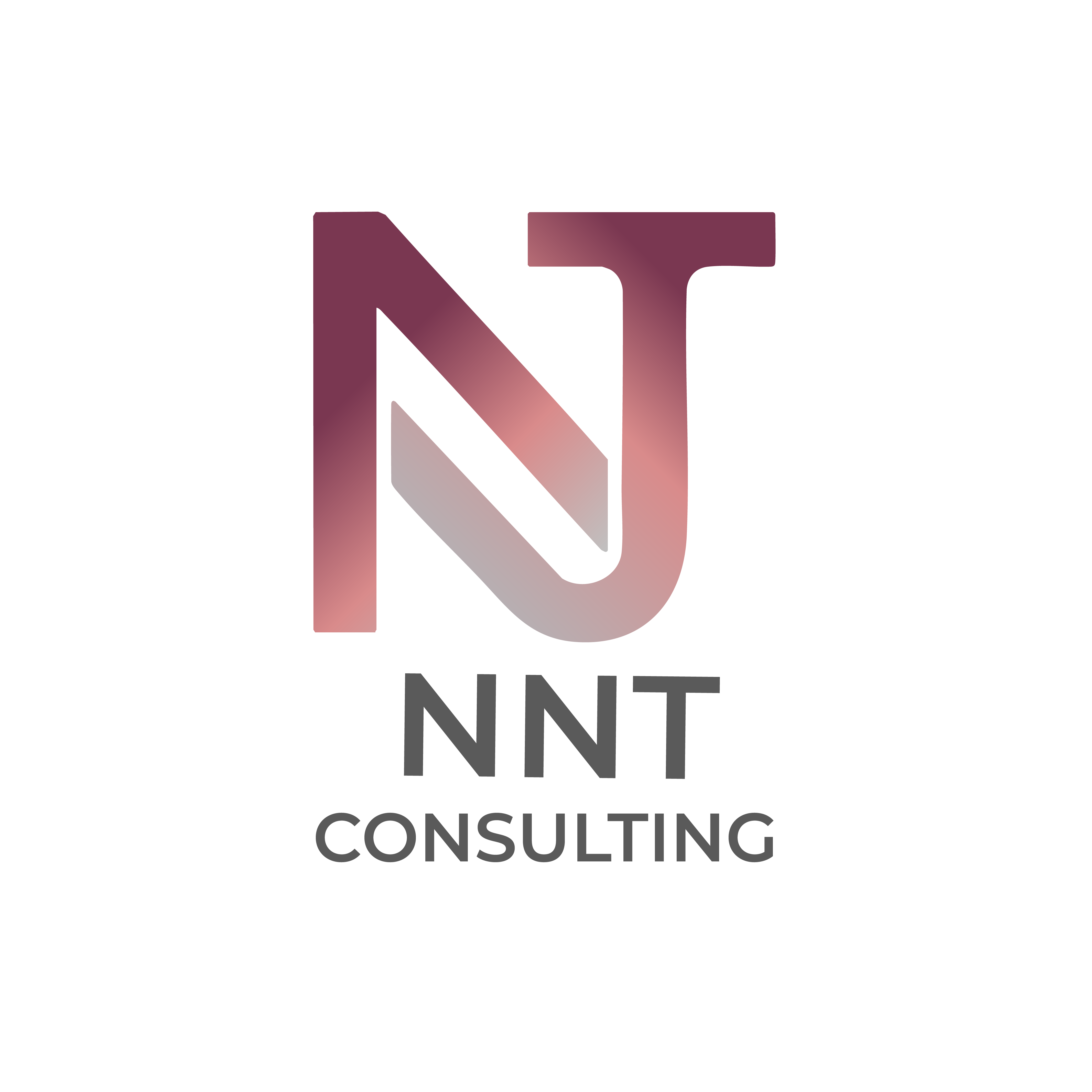 NNT Consulting